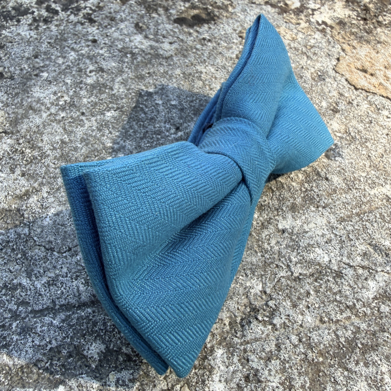 Noeud papillon couleur turquoise
