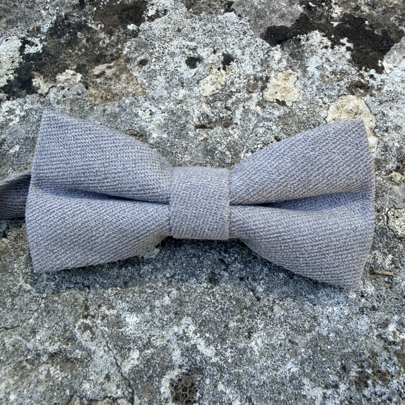 Noeud papillon couleur gris clair