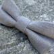 Noeud papillon couleur gris clair