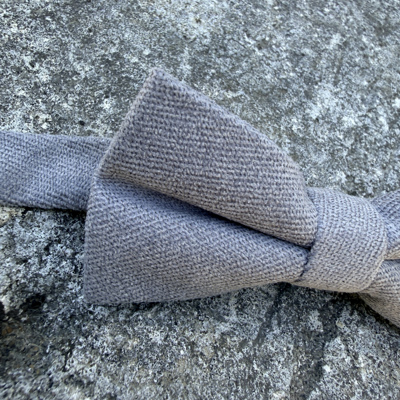Noeud papillon couleur gris clair
