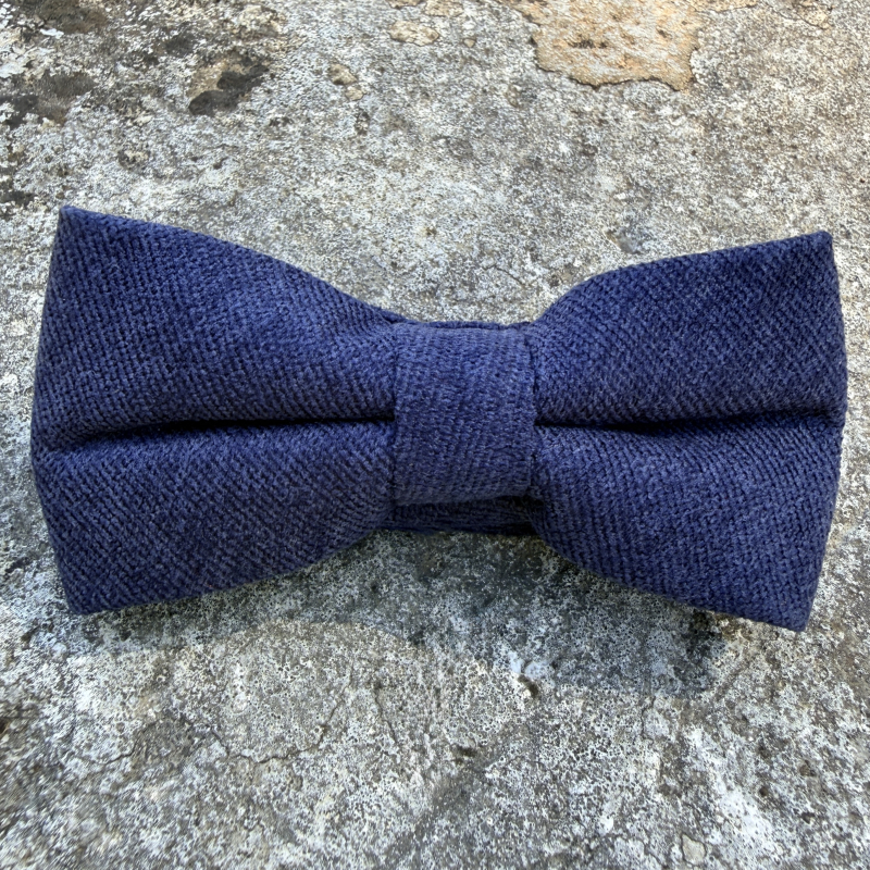 Noeud papillon couleur bleu nuit