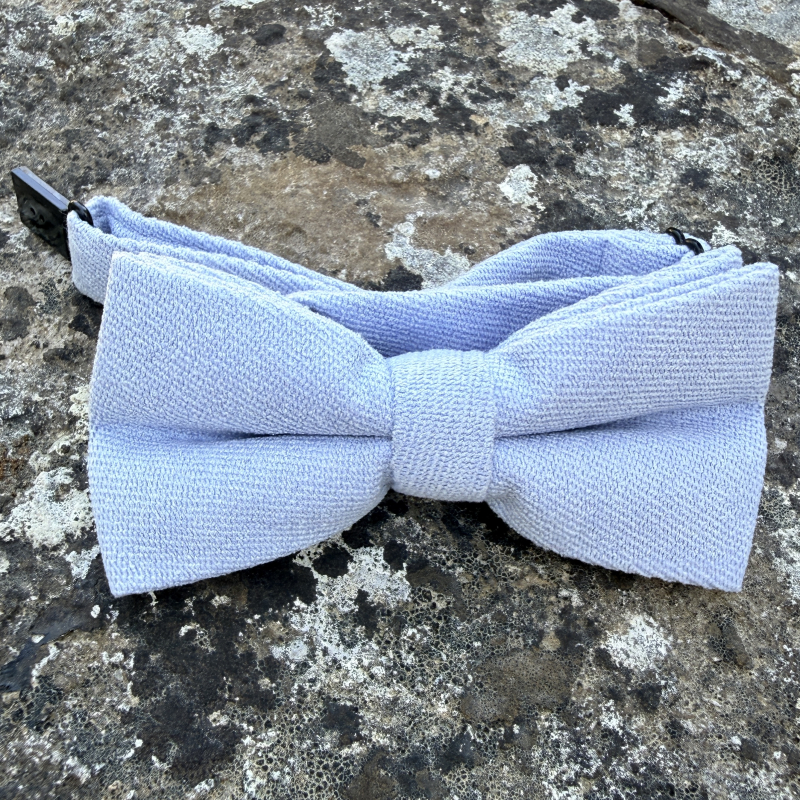 Nœud papillon bleu ciel en coton pour garçon, accessoire de cérémonie mariage